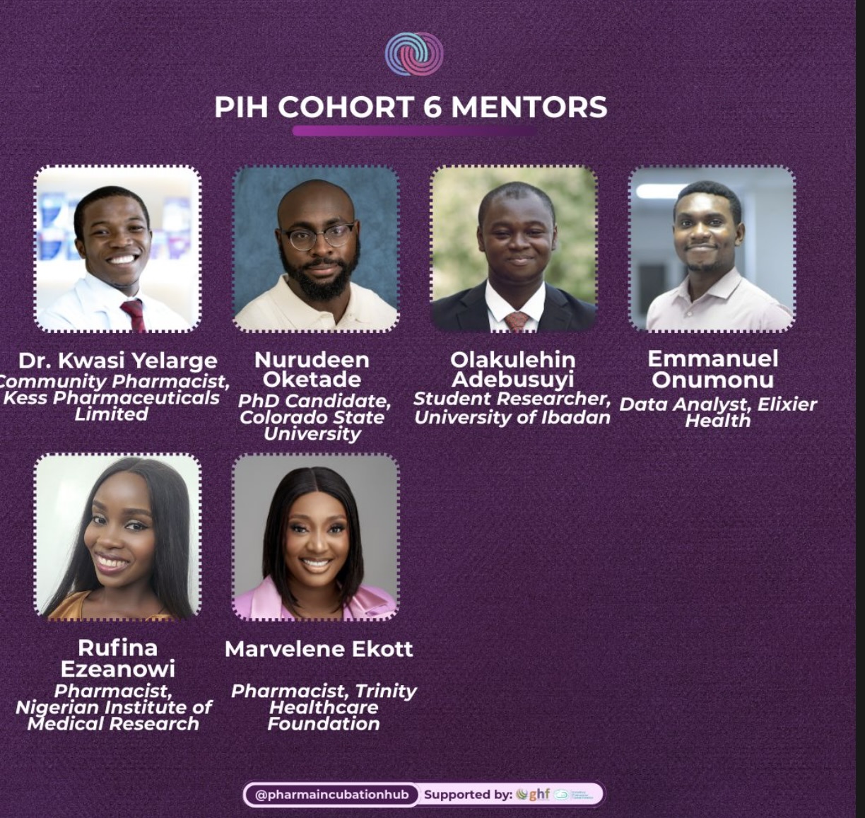 PIH Cohort 6 mentors — featuring Dr. Kwasi Yelarge, Nurudeen Oketade, Olakulehin Adebusuyi, Emmanuel Onumonu, Rufina Ezeanowi and Marvelene Ekott